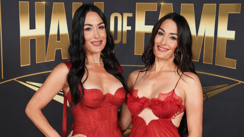 Brie and Nikki Bella