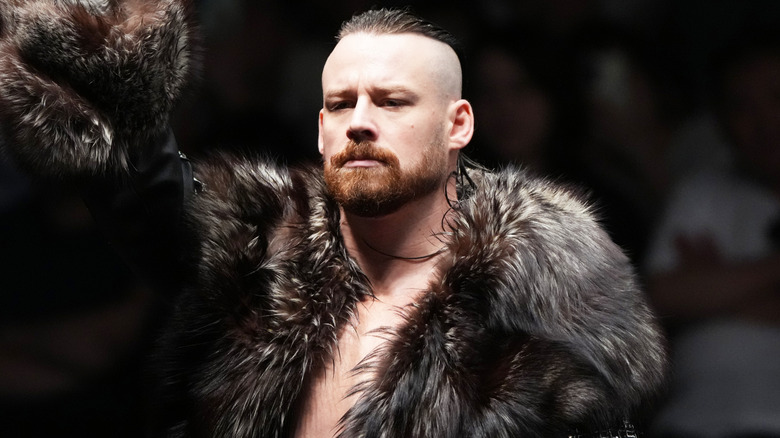 David Finlay in New Japan Pro Wrestling