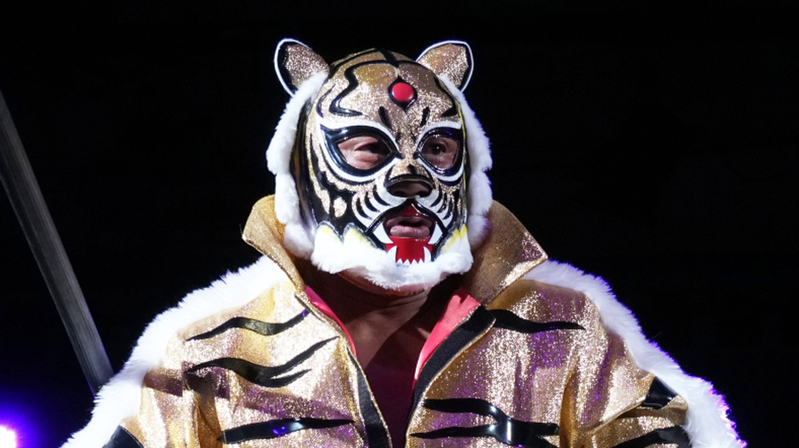 NJPW Star Tiger Mask IV Officially Retires