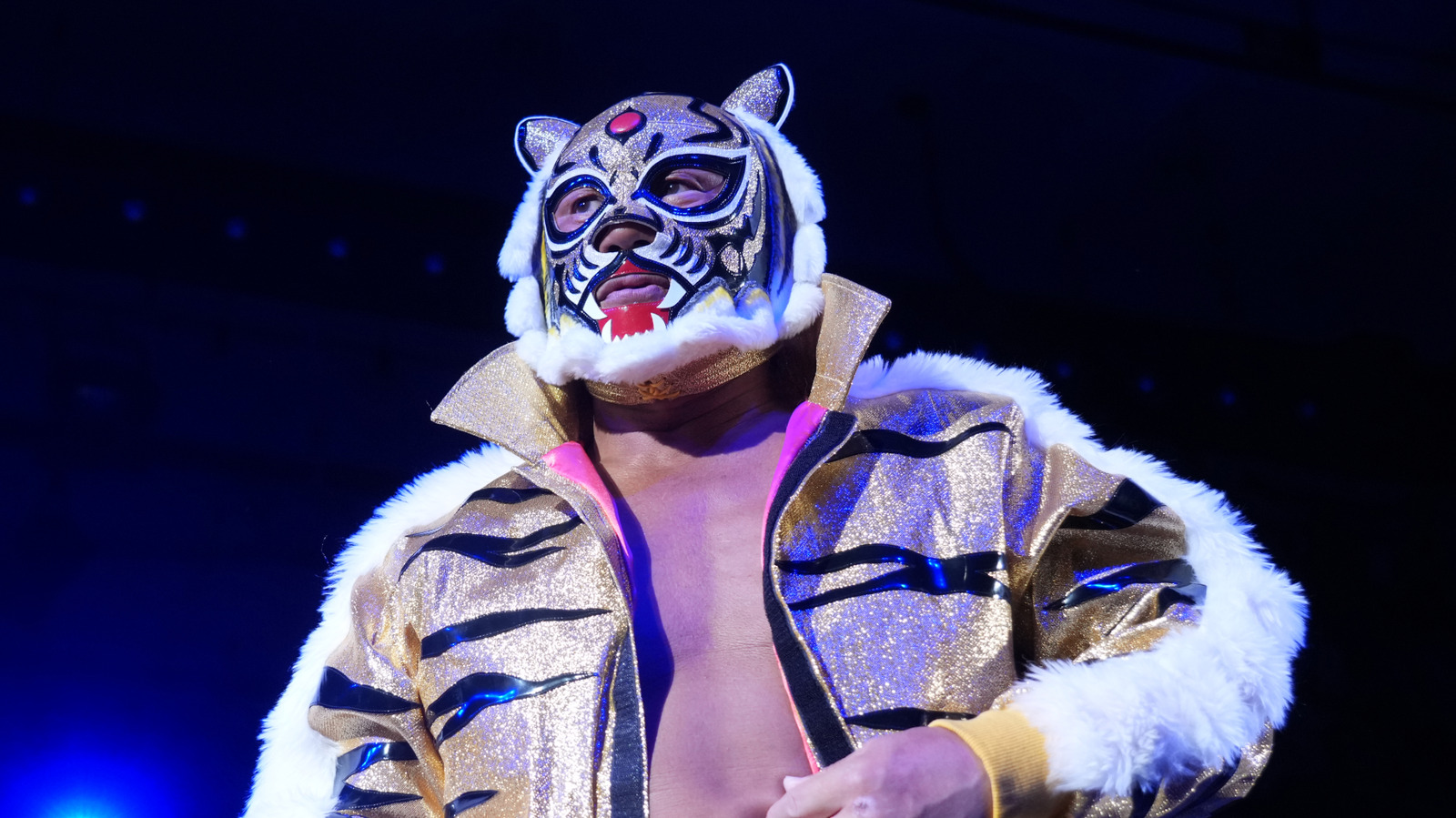 NJPW's Tiger Mask Comments On Character Continuing After His Retirement