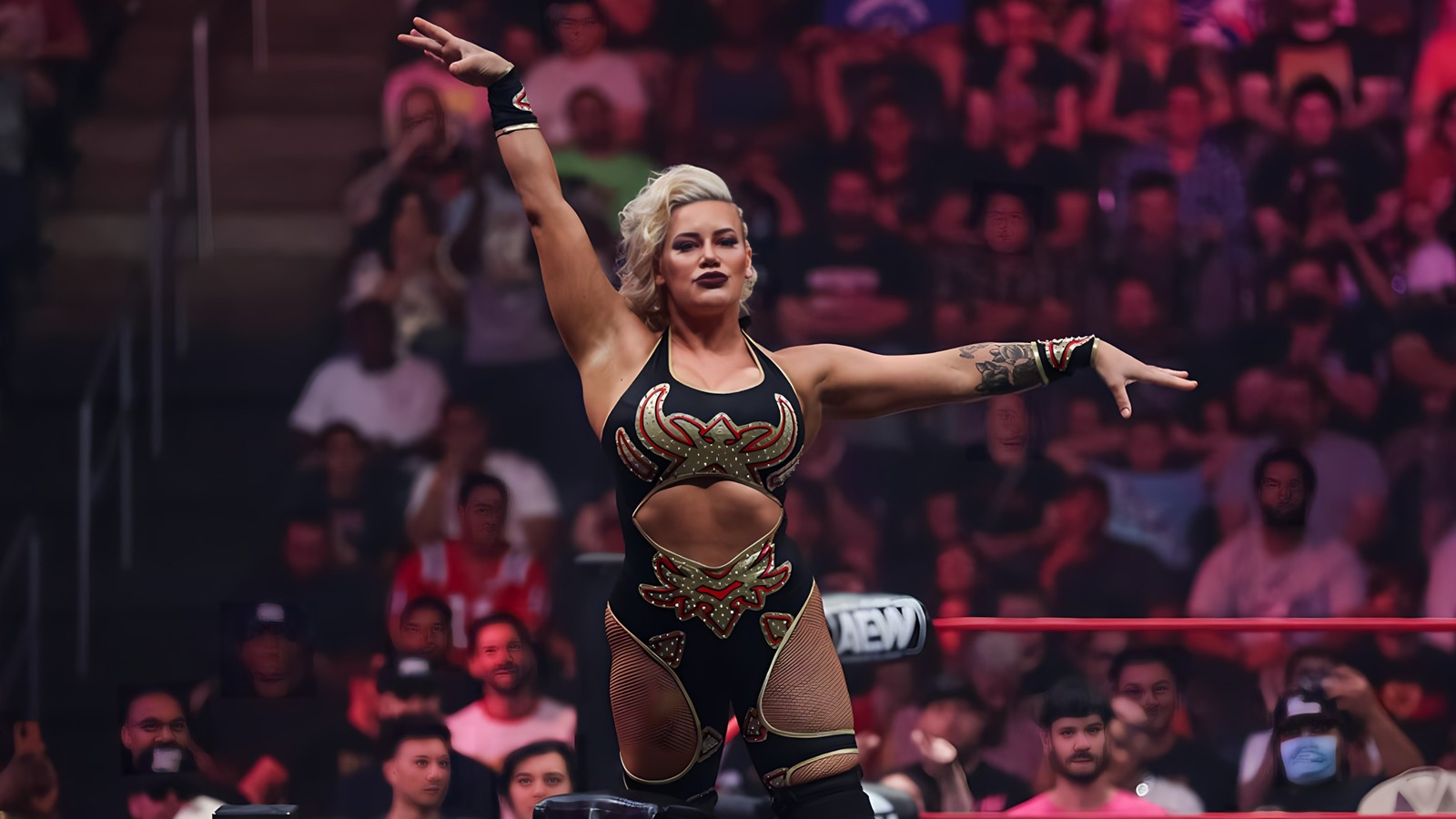 Photo: AEW's Taya Valkyrie Cosplays As The Hamburglar