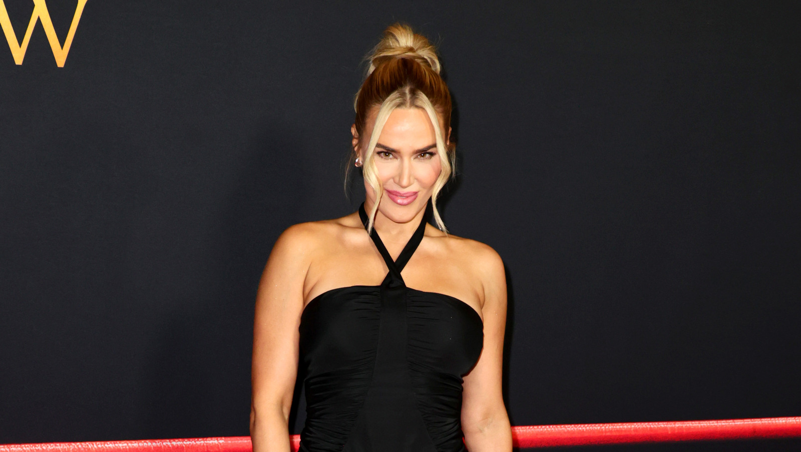 Photos: AEW's CJ Perry Poses For Pic With WWE Stars At Dune 2 Premiere ...