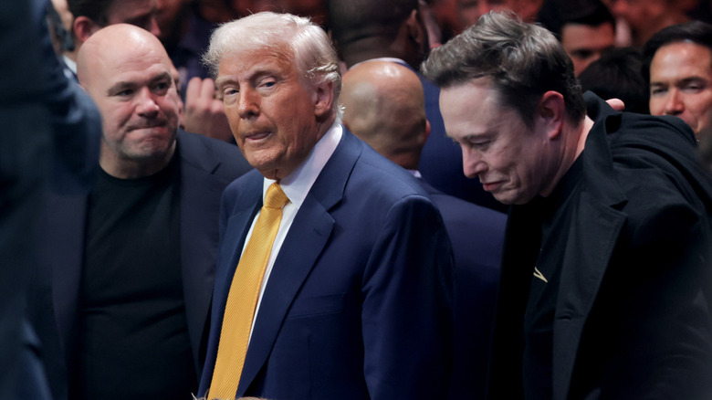 Dana White, Donald Trump, and Elon Musk