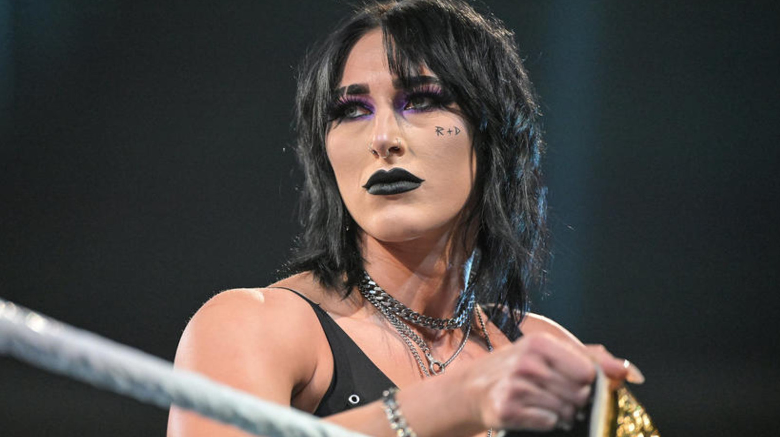 Rhea Ripley Shares Her Vision For WWE Elimination Chamber In Australia Rhea Ripley Shares Her Vision For WWE Elimination Chamber In Australia