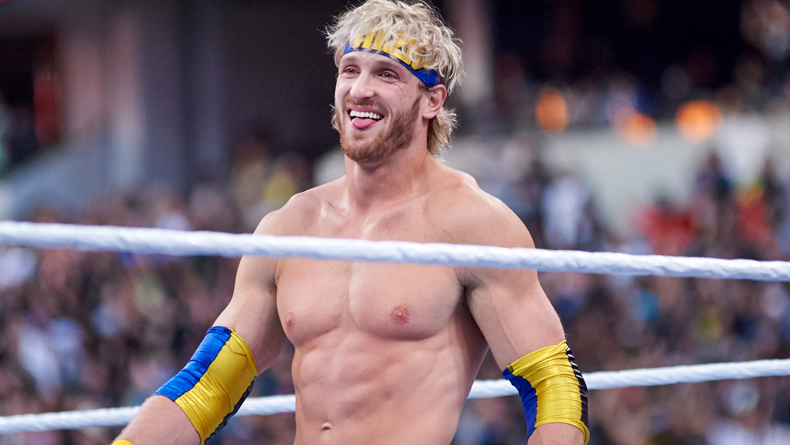 Ric Flair Likens Logan Paul To Shane McMahon As WWE Money In The Bank