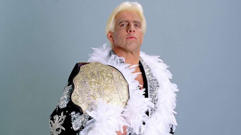 Ric Flair poses in a robe