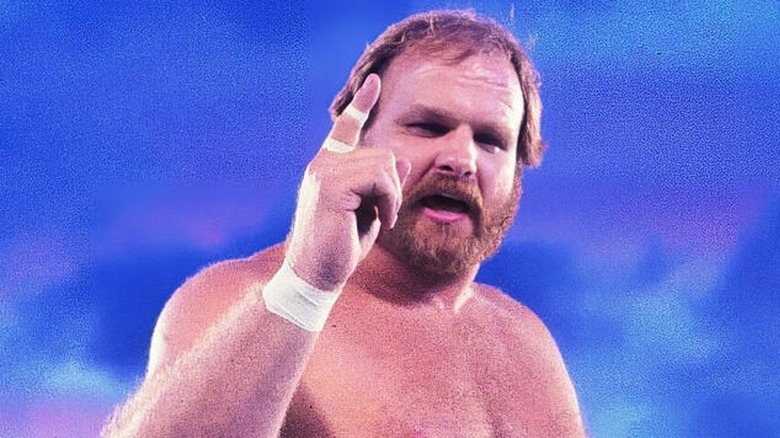 Ole Anderson posing