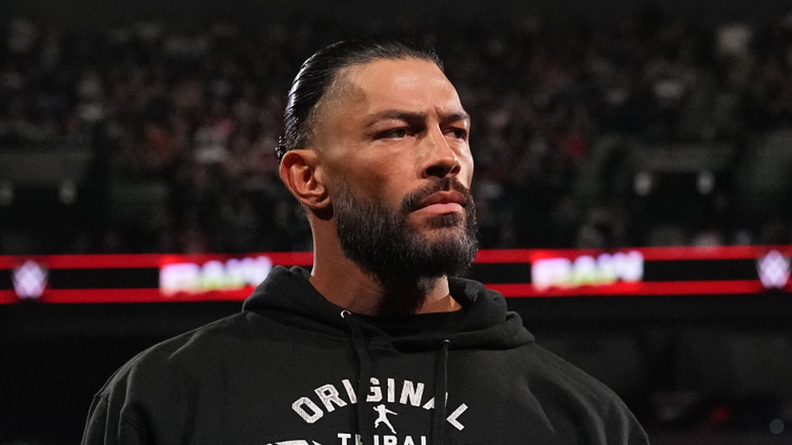 Roman Reigns: Meet The WWE Tribal Chief's Wife