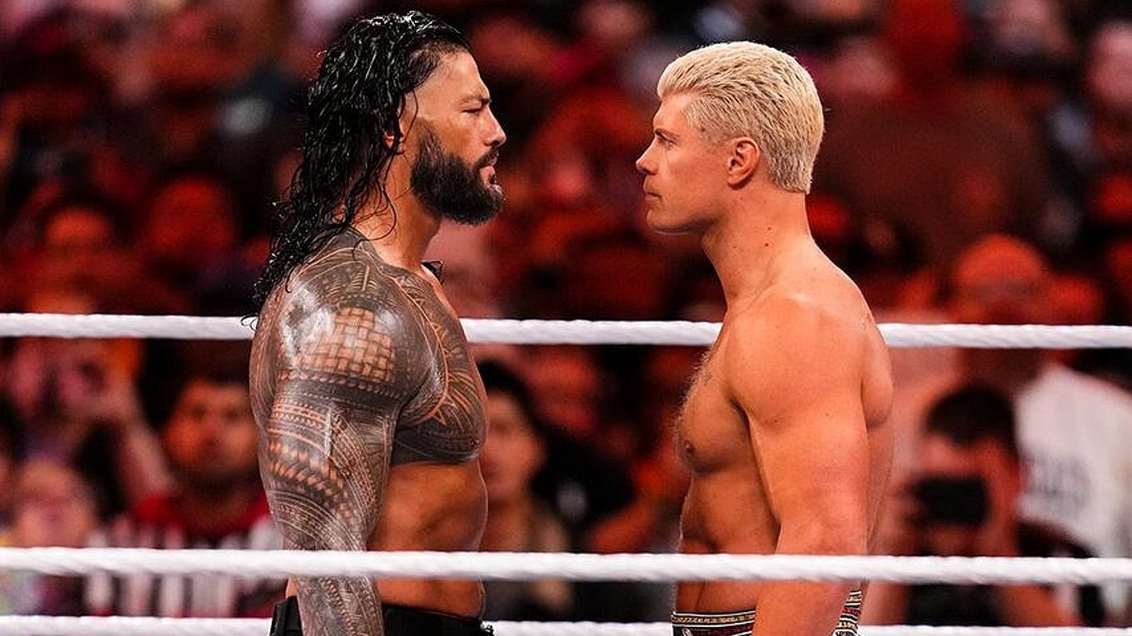 Roman Reigns Says That Cody Rhodes Has Been Able To Carry The WWE Banner