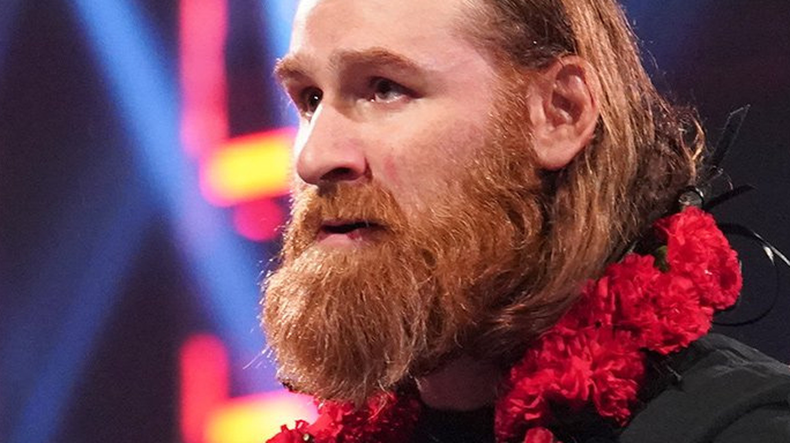 Sami Zayn