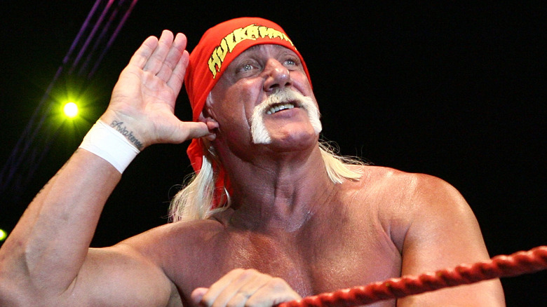Hulk Hogan buscando aplausos