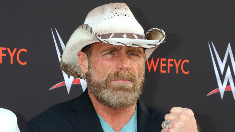 Shawn Michaels posing