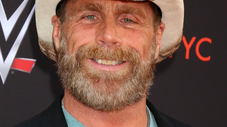 Shawn Michaels smiling 