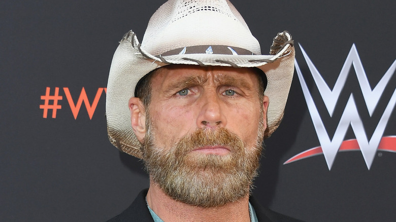 Shawn Michaels At A WWE Event