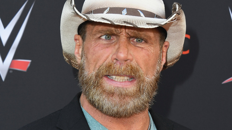 Shawn Michaels grimaces