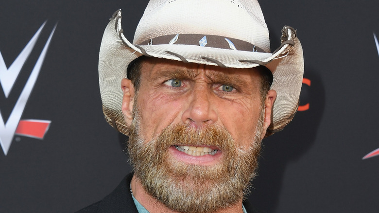 HBK makes face on red carpet