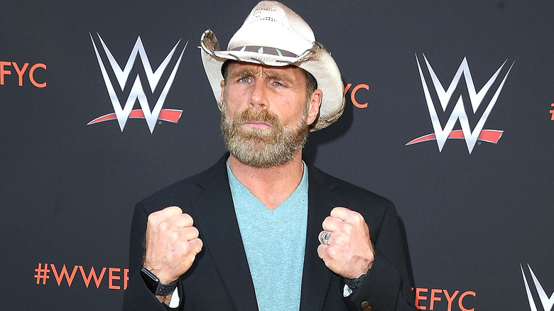 Shawn Michaels posing