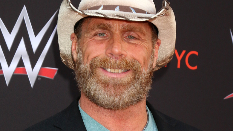 Shawn Michaels smiling