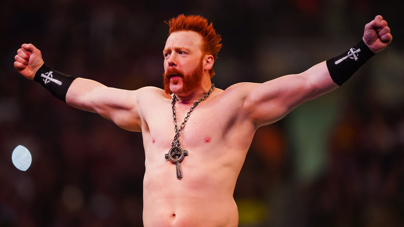 Sheamus Offers Life Update In First Interview After WWE Exit