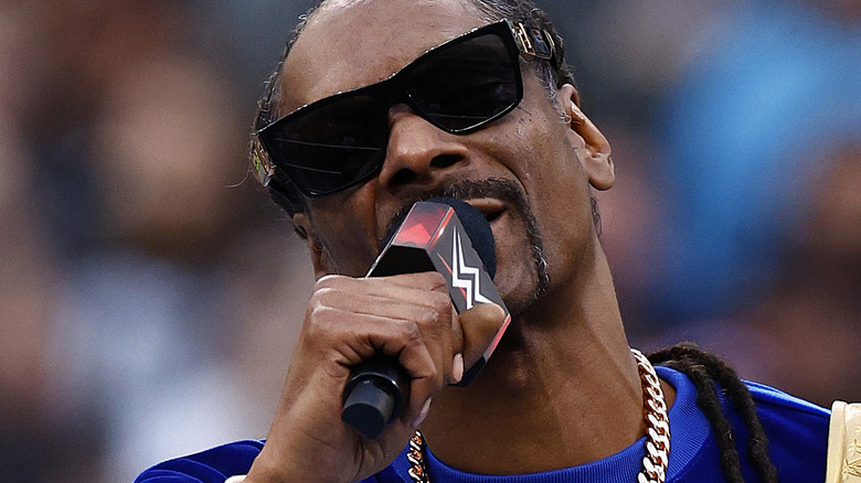 Snoop Dogg talking