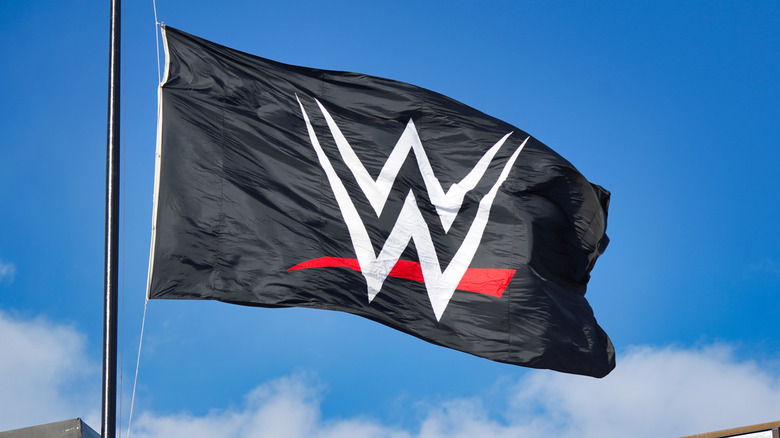 A stock photo of the WWE flag at its headquarters