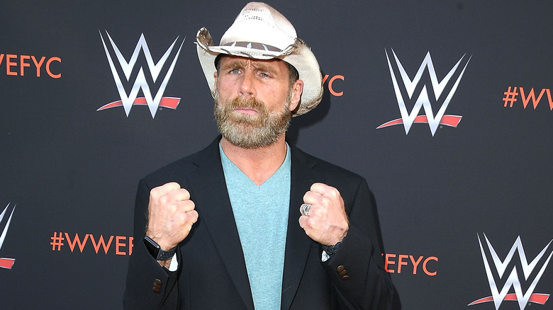 Shawn Michaels holds up two fists