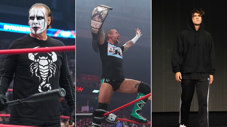 CM Punk/Sting/HOOK