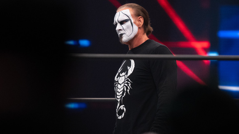 Sting stands in the ring