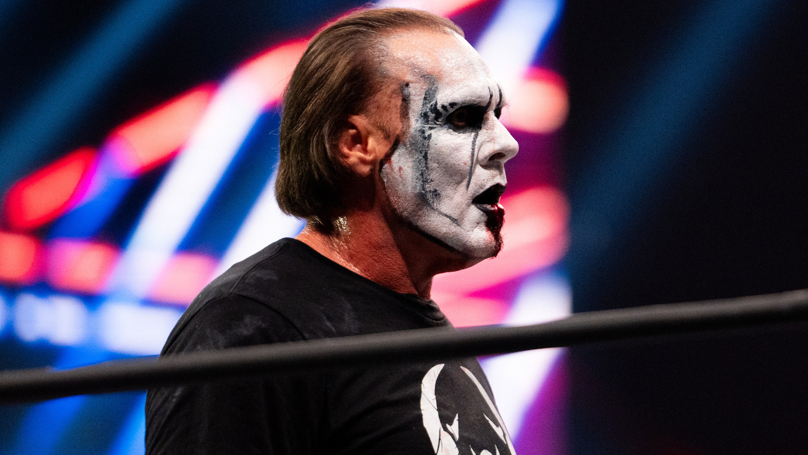 Sting's Son Shares Pic Mid-Stinger Splash From AEW Revolution 2024