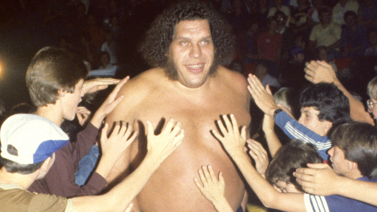 Ted DiBiase Says WWE Hall Of Famer Andre The Giant Disliked This Wrestler - Vimarsana News