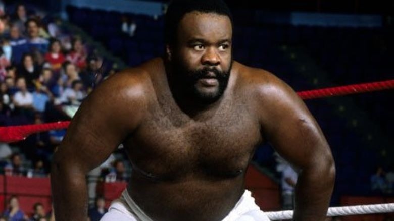 Junkyard Dog in the ring
