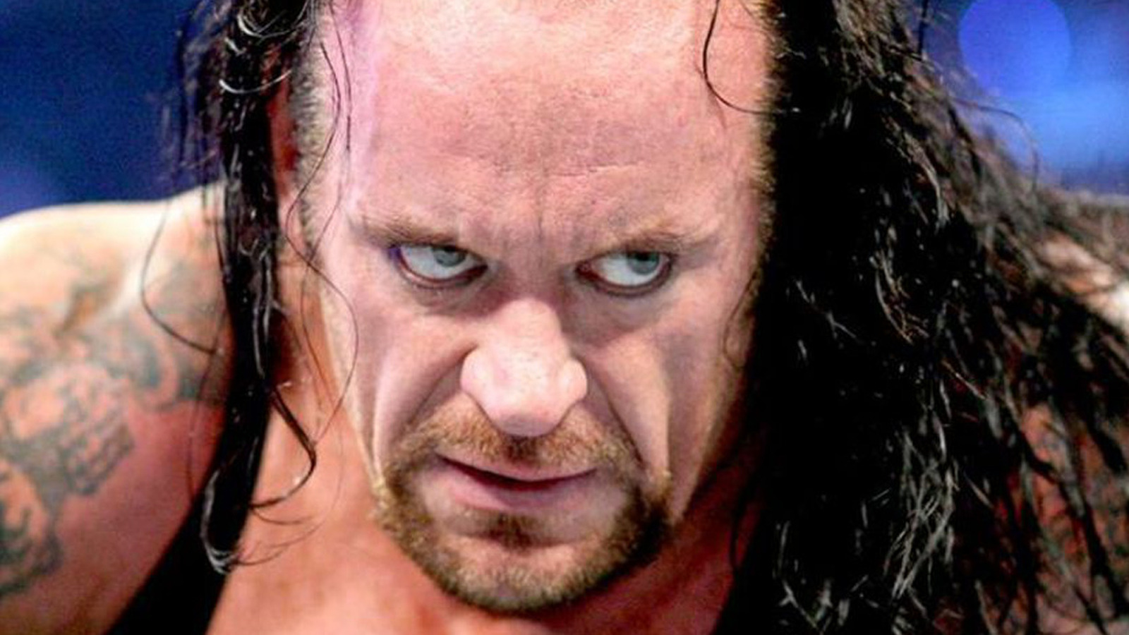 The Undertaker - Wrestler