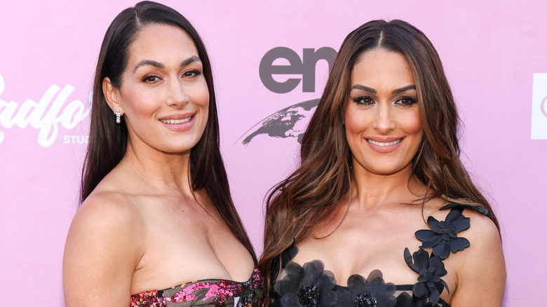 The Bella Twins, Brie and Nikki Garcia, attending the 25th annual Environmental Media Awards Gala, October 2025.