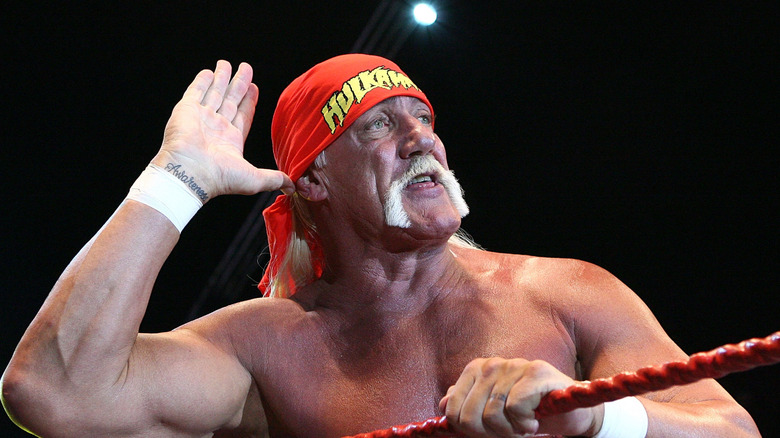 Hulk Higan doing the trademark pose