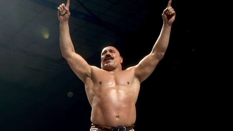 The Iron Sheik posing