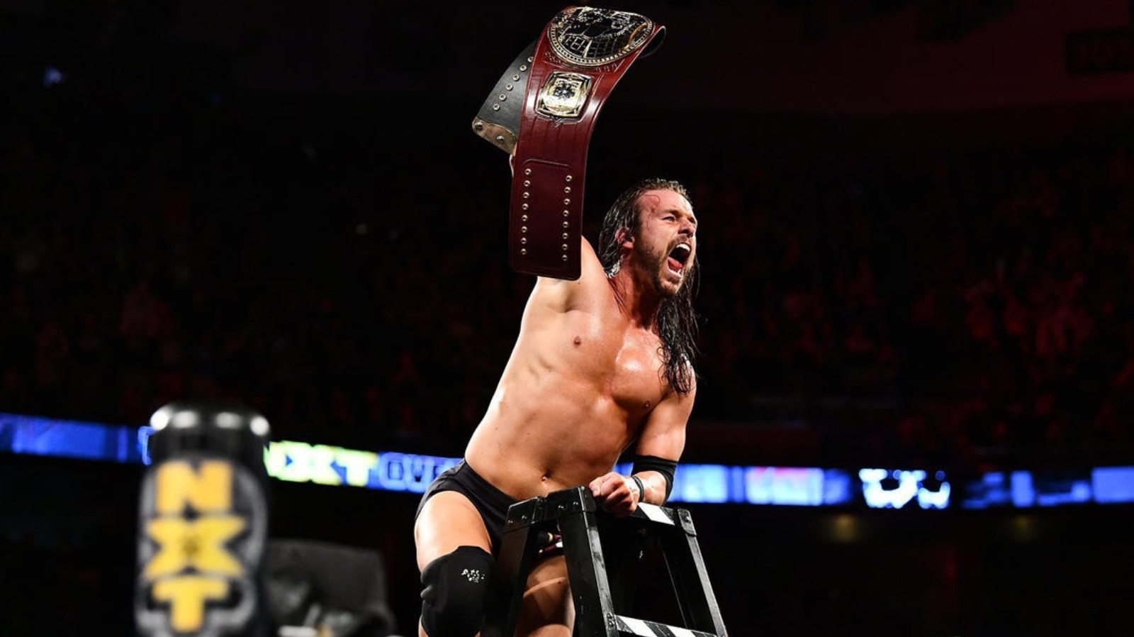 The Most Memorable Ladder Matches In Wrestling History