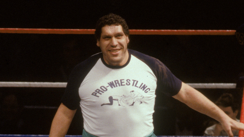 Andre the Giant posing