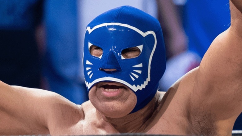 Blue Panther celebrating a win