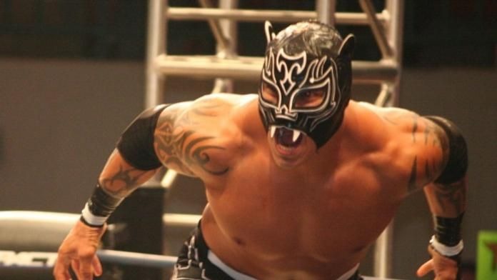 Tigre Uno News, Stats And Video Wrestling Inc.