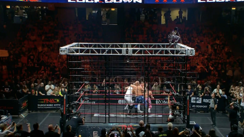 Stone on the top of the cage as several other competitors are inside