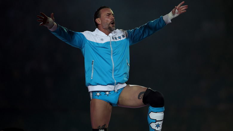CM Punk in the ring