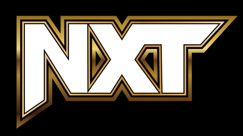 WWE's Current NXT Logo