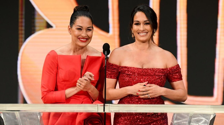 bella twins