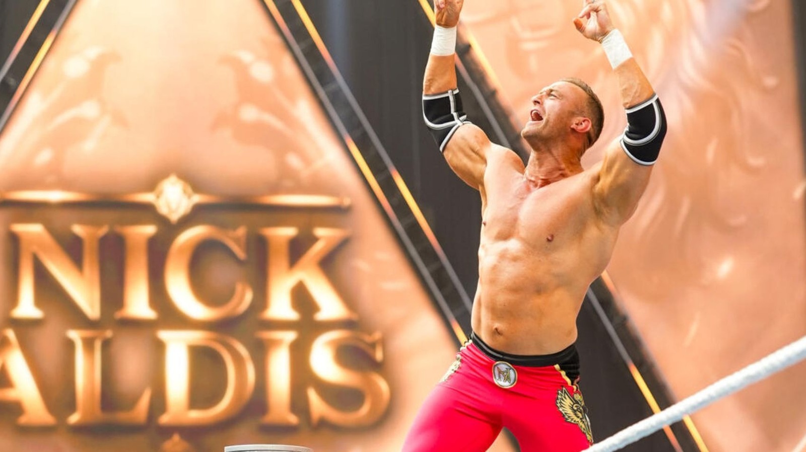 Triple H Comments On Nick Aldis’ WWE Debut, Getting Oasis As His Theme Music