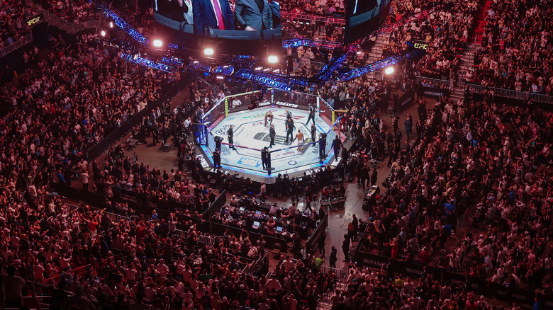 UFC 327 Crowd