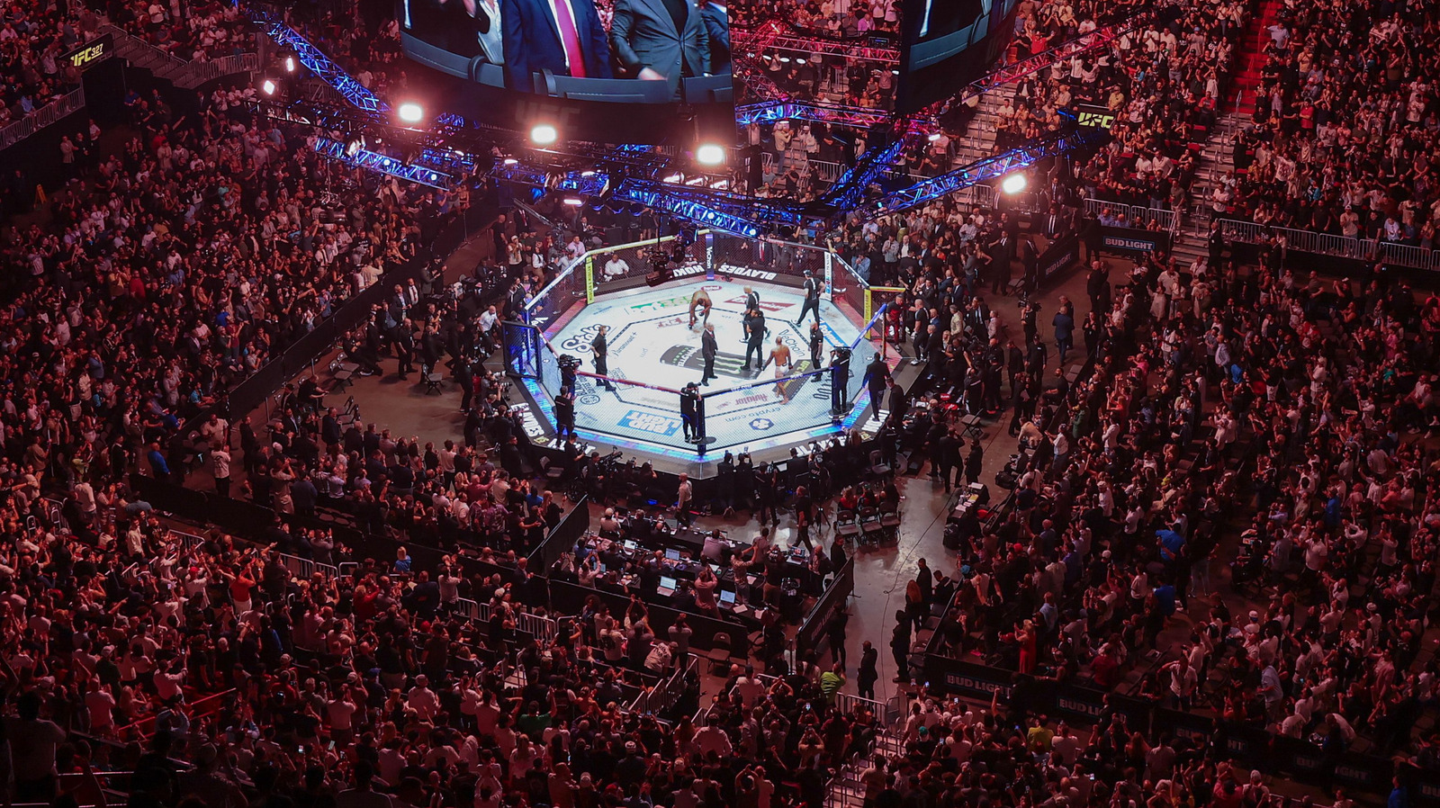 UFC 330 Date & Location Announced