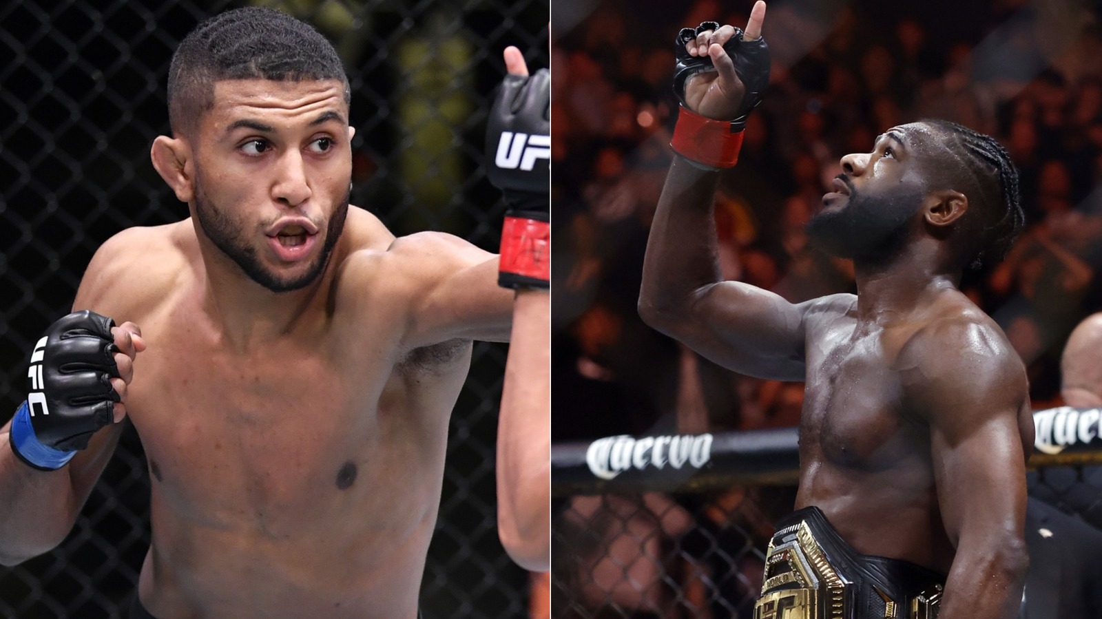 UFC Fight Night 274: Sterling Vs. Zalal Live Results