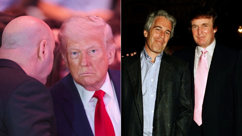 [Left] Dana White and Donald Trump at UFC and [Right] Donald Trump and Jeffrey Epstein