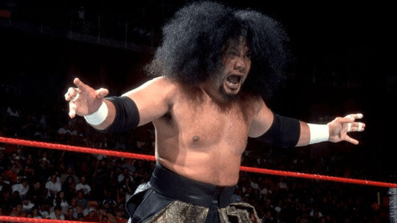 Haku in the ring