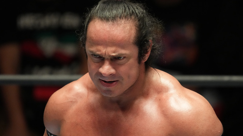Volador Jr. staring intently